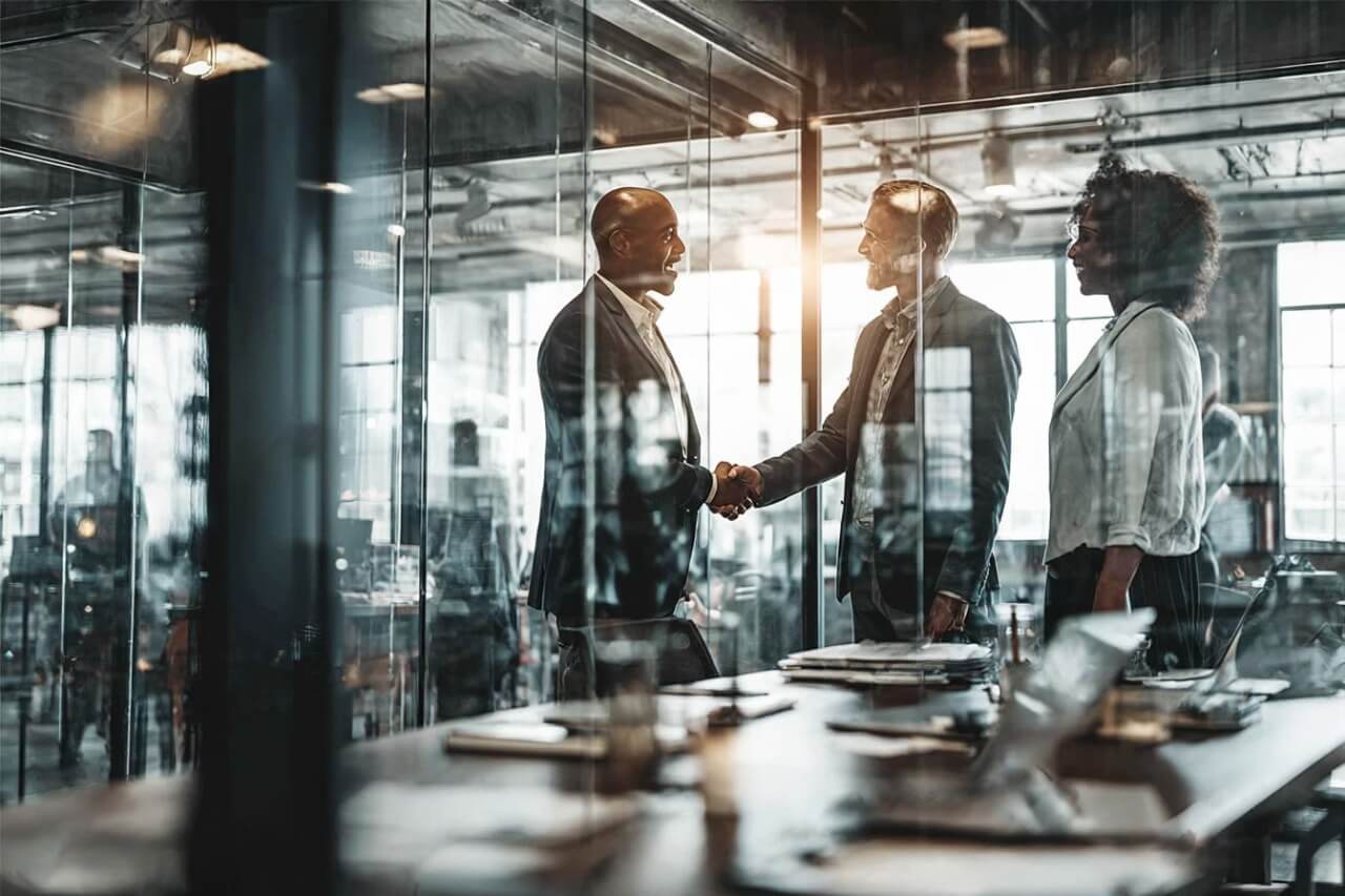 Successful Business Consultation Image